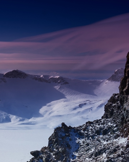 粉象生活免费水果