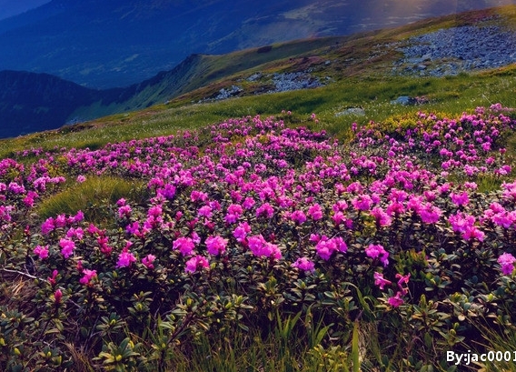 粉象生活发货怎么样