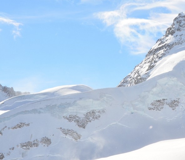 粉象生活绑定码