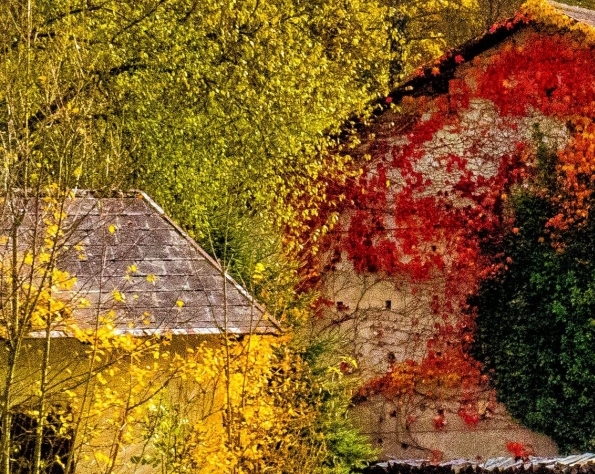 粉象生活怎么打开通知