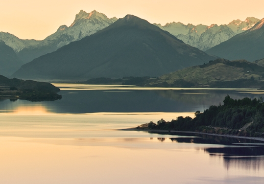 粉象生活邀请码是多少