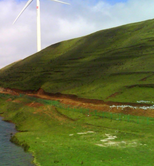 粉象生活下载app