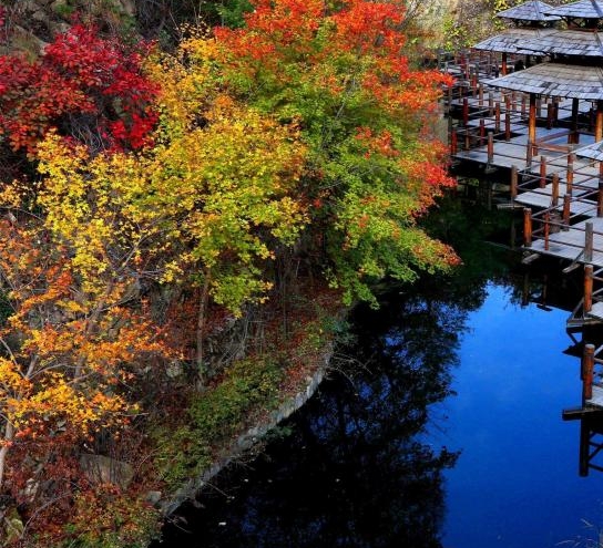 粉象生活是什么样的平台