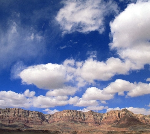 粉象生活公司实力