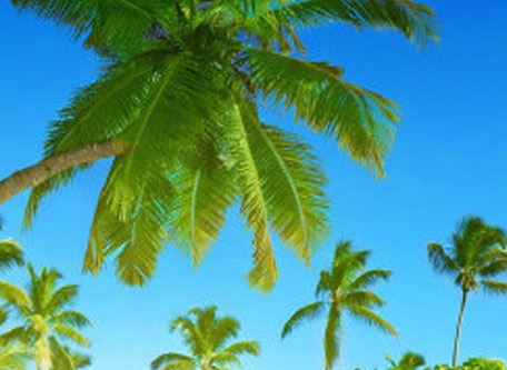 粉象生活创业日记