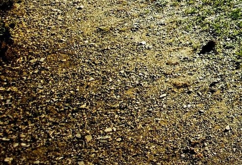 注册了粉象怎么注销