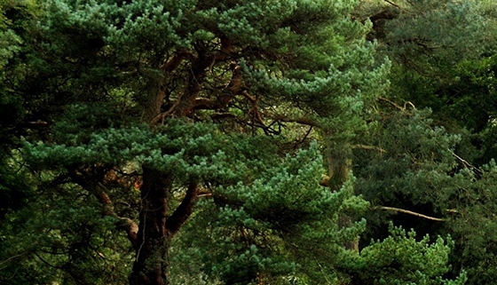 粉象生活到底靠谱吗