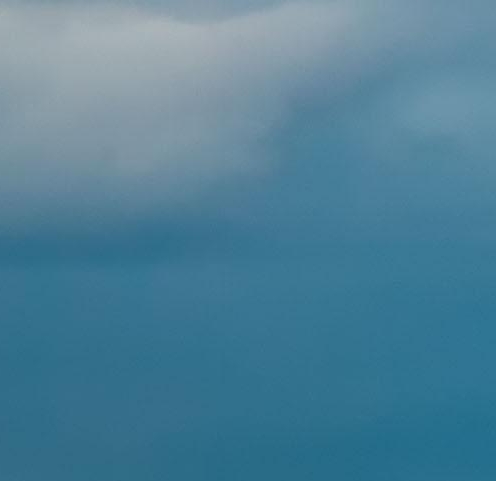 粉象生活佣金什么时候可以提现