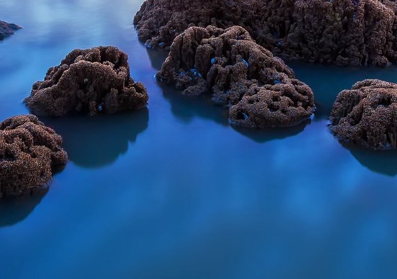 常州粉象生活推广