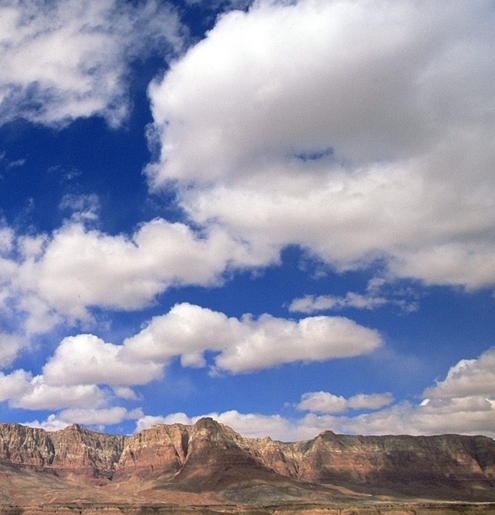 粉象生活怎么赚钱