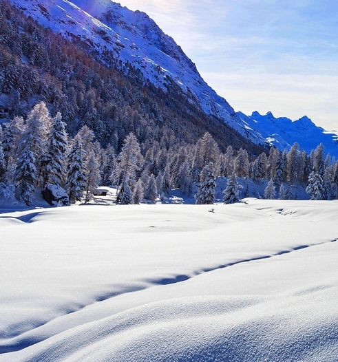 粉象生活能赚到钱吗