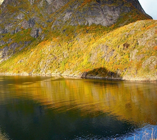 粉象生活粉丝怎么增加