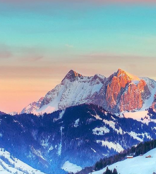 粉象生活粉丝怎么增加