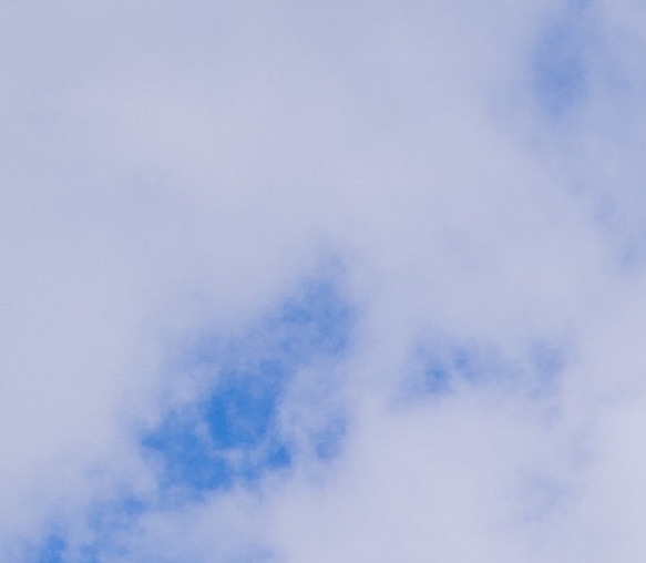 粉象生活红包视频