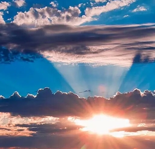 浙江运营粉象生活