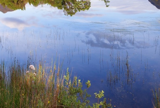 粉象生活邀请id351395