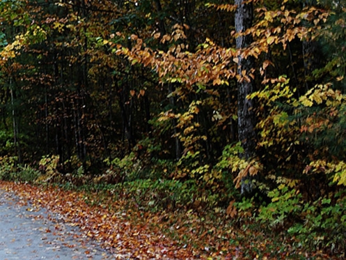 粉象生活粉丝怎么增加