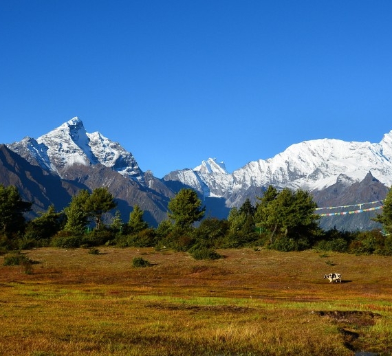 粉象生活平台合法吗?