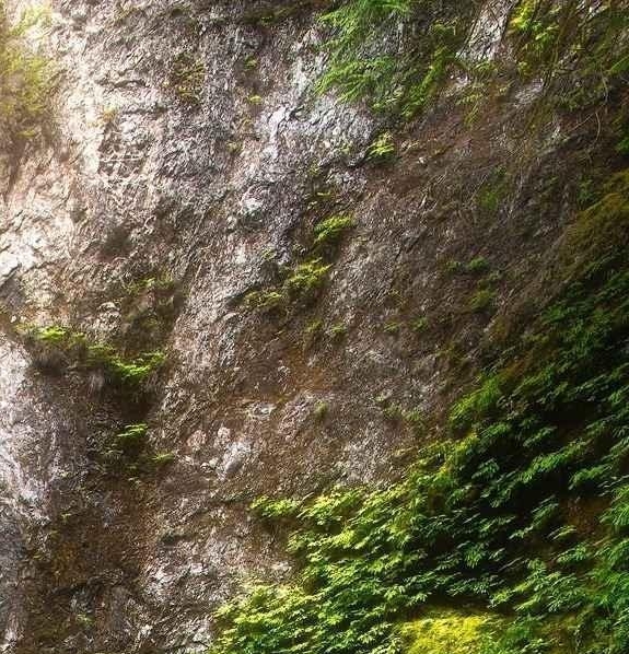 如何开通建行生活卡