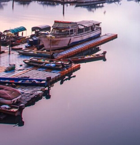 粉象生活销售订单