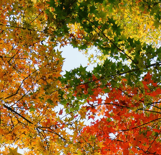 在粉象生活买东西为什么便宜