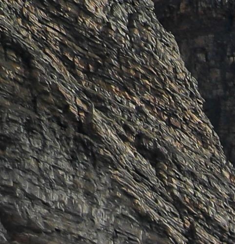 有人做粉象生活赚钱了吗