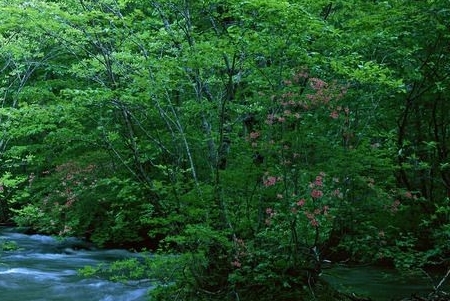 粉象生活积分自动兑换吗