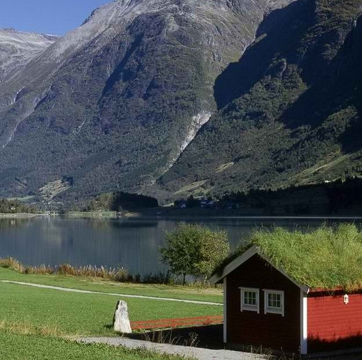 粉象生活能赚到钱吗