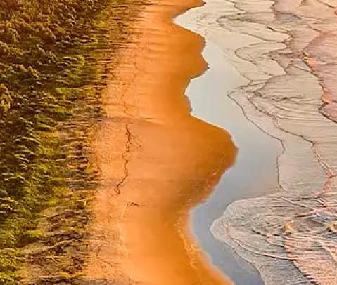 粉象生活升级后大概几天才看到收入