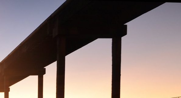 被象来鼻摄而去的去