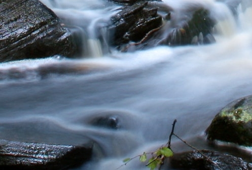 粉象生活如何更改身份证号