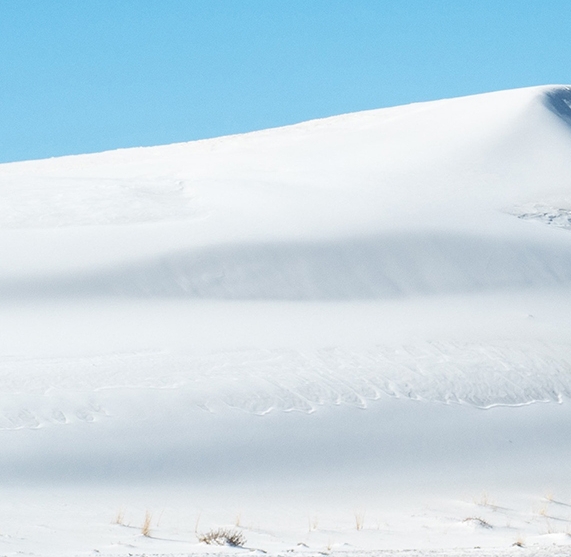 如何加入粉象生活推广