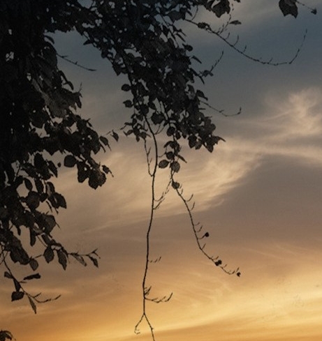 粉象是什么平台