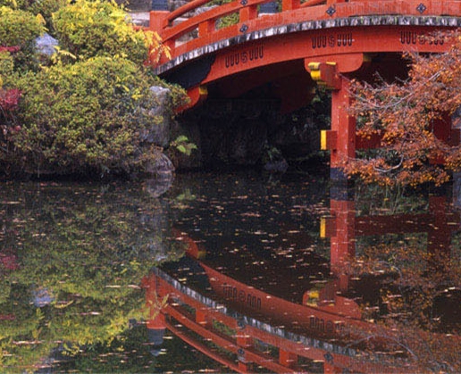 粉象生活怎么设置领红包