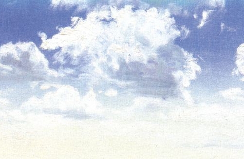 亳州粉象生活软件