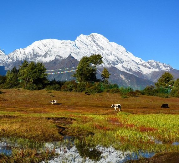 粉象生活能赚到钱吗