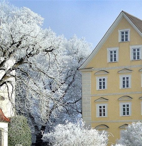 闲鱼进货平台粉象生活