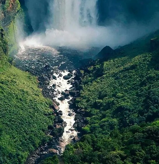 粉象生活邀请码靠谱写