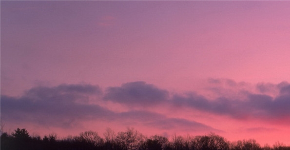 粉象生活加盟广告