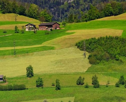 粉象生活需要怎么邀请好友