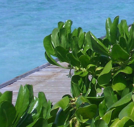 粉象生活怎么查询订单