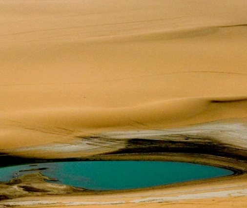 粉象生活淘宝怎么授权不了