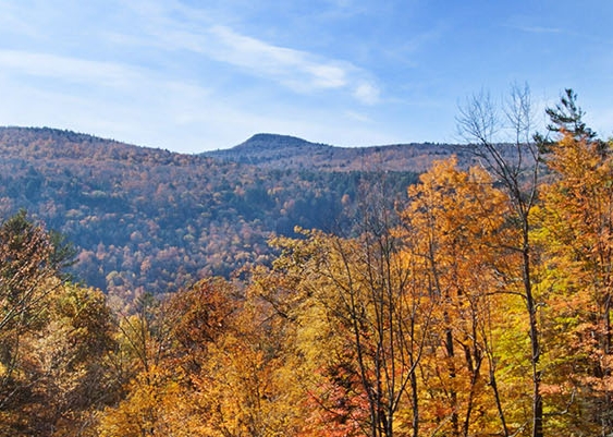 粉象生活必须要买会员吗
