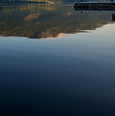 粉象生活怎么用淘宝