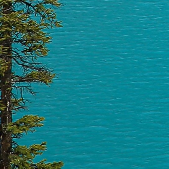 粉象生活如何发给微信好友