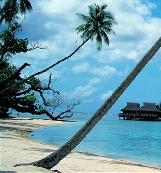 9340cdw废粉仓清零