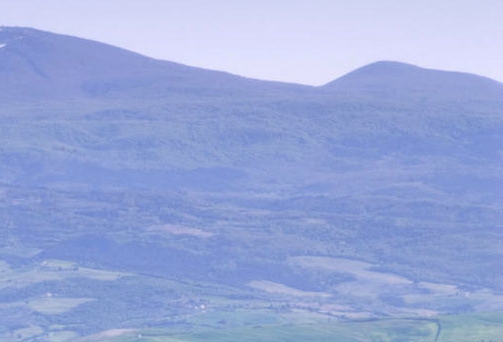 粉象生活我的邀请人在哪里找