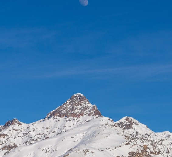 粉象生活如何发到闲鱼