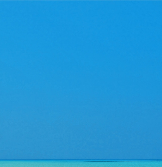 瘦瘦果粉可以减肥吗