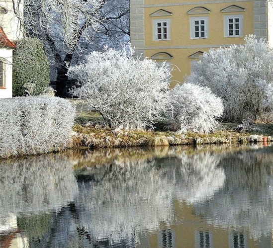 用粉象生活是怎么赚钱的
